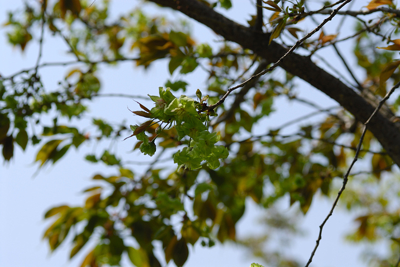 image0179