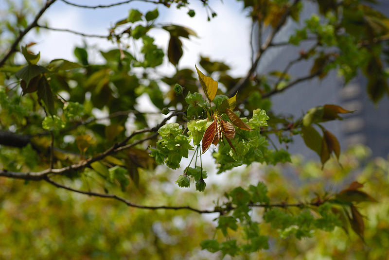 image0180