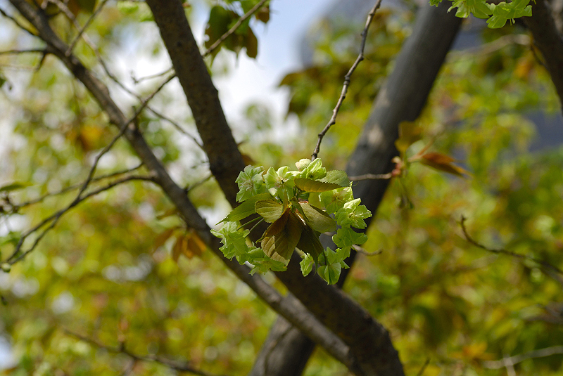 image0182