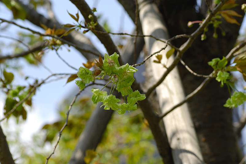 image0183