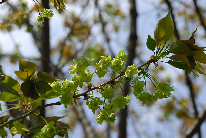 image0184