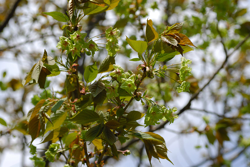 image0185
