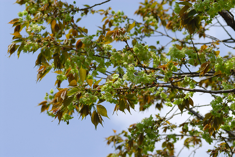 image0188