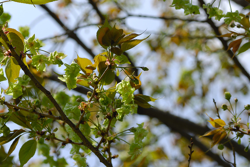image0189