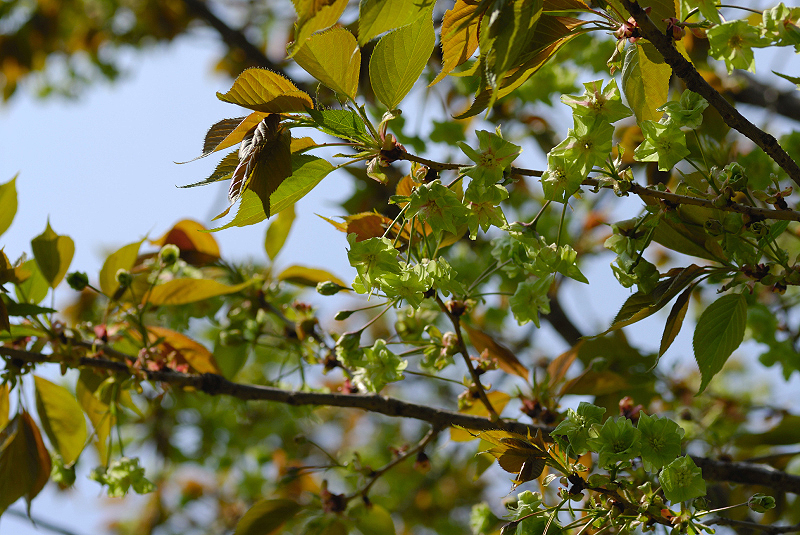 image0190