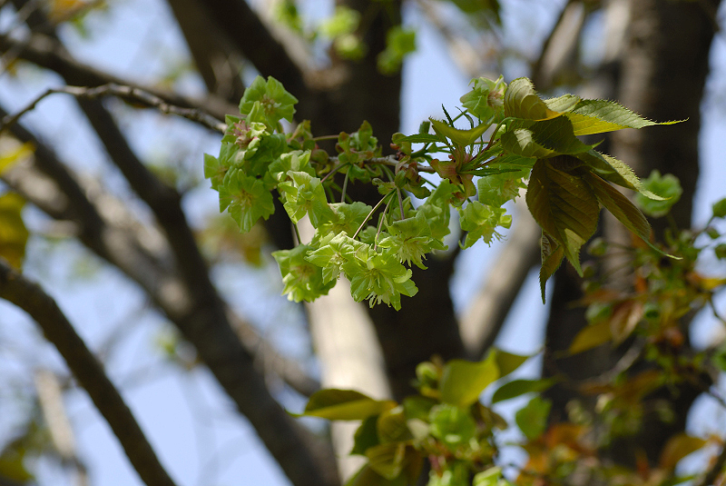 image0191