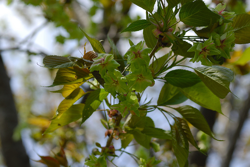 image0192