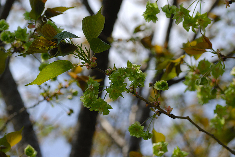 image0193
