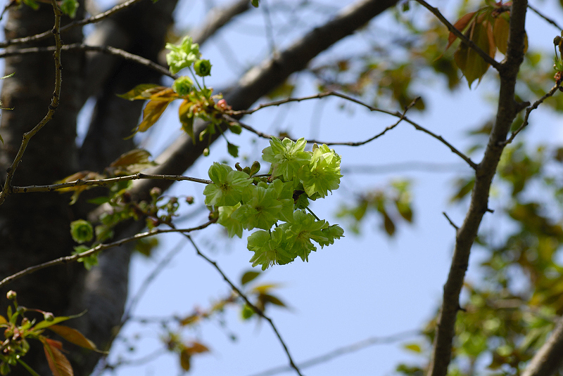 image0194
