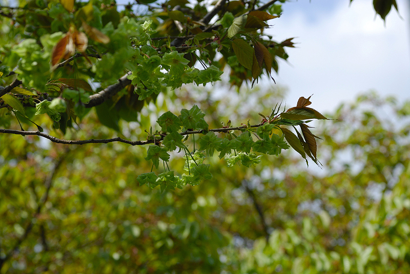 image0195