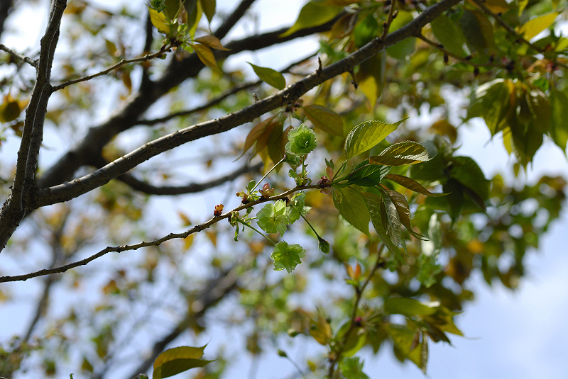image0197