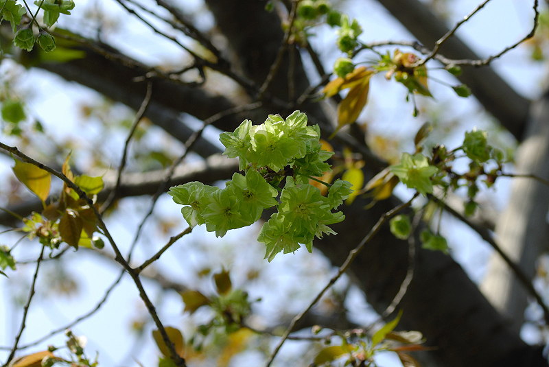 image0198