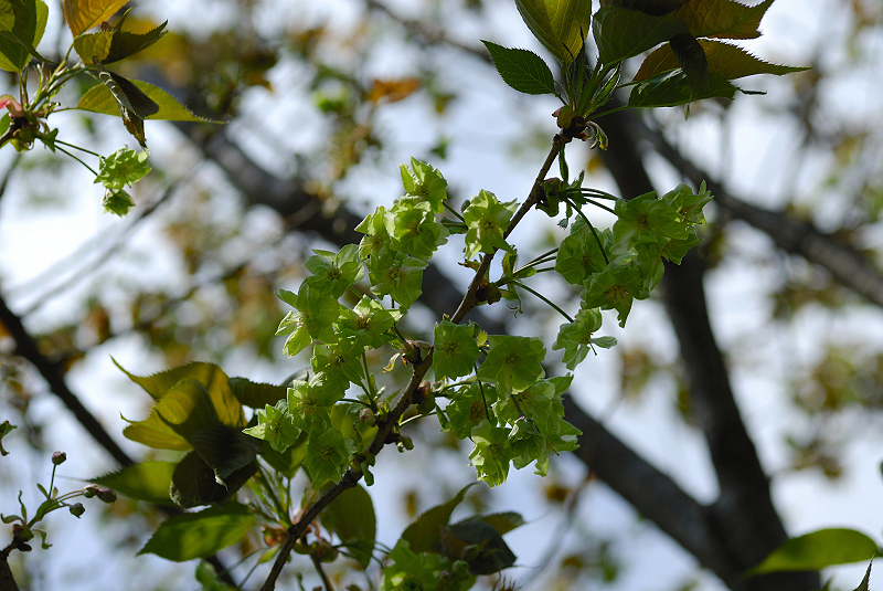 image0199
