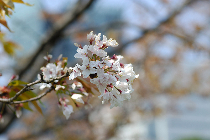 image0200