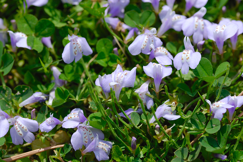 image0201