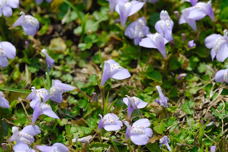 image0202