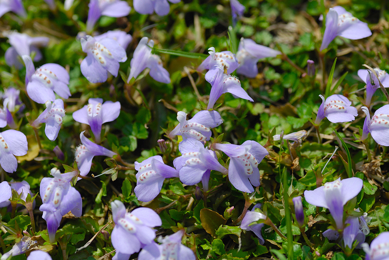 image0203