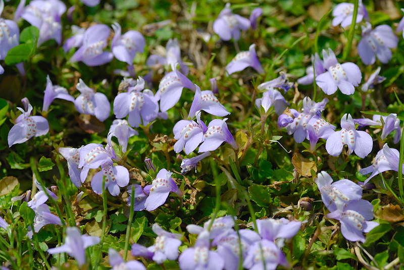 image0204