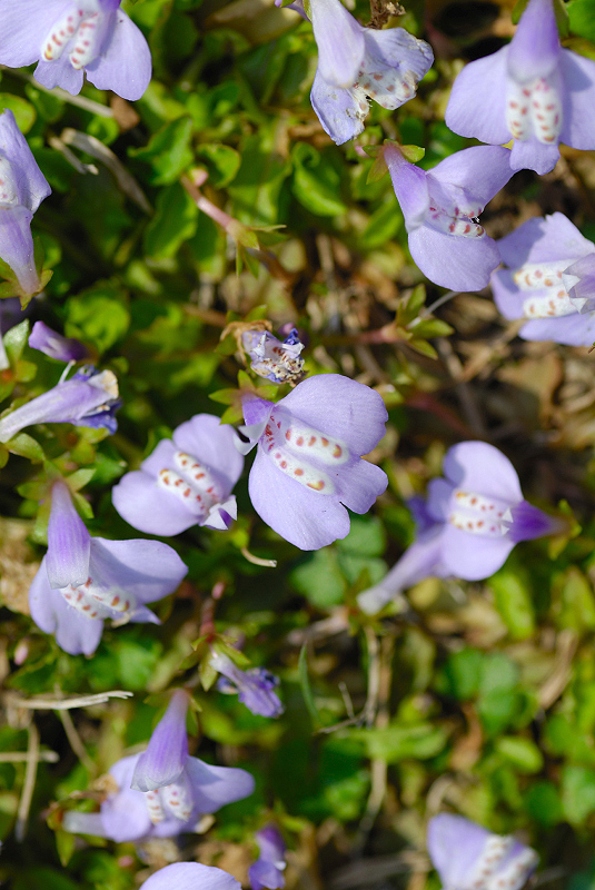 image0206