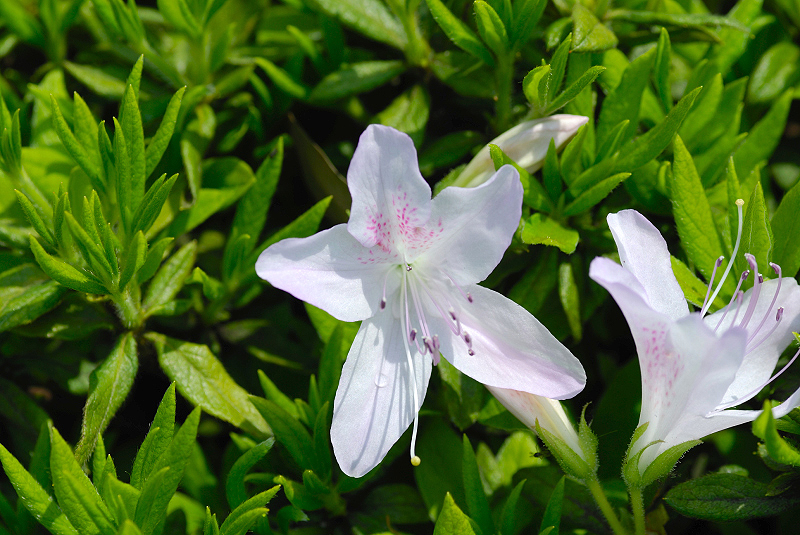 image0210