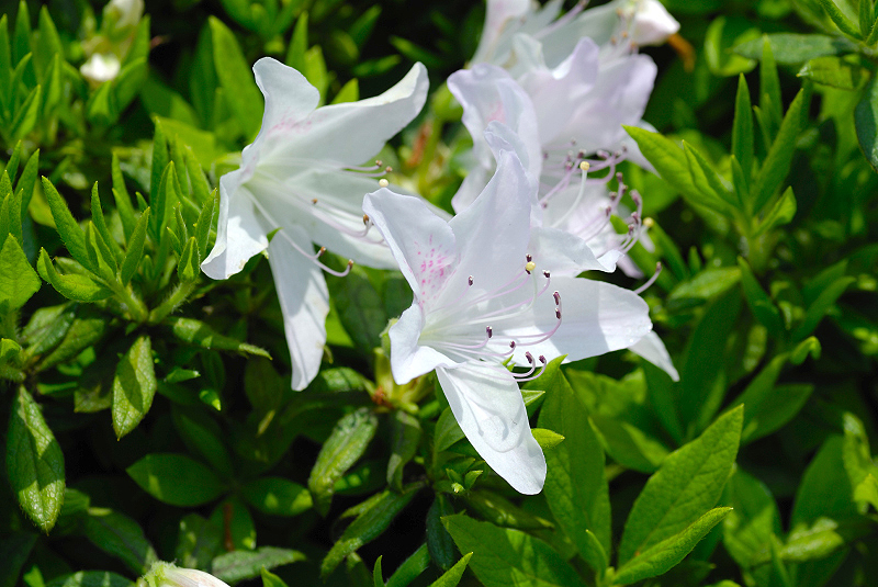 image0211