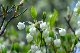 image0128