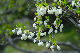 image0130