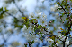 image0131