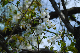 image0132