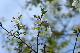 image0133