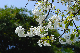 image0134