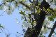 image0135