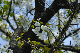 image0136