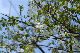 image0137