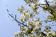 image0138