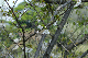 image0139