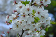 image0140