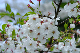 image0141