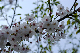 image0142