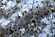 image0143