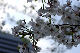 image0144
