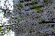 image0145