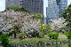 image0146