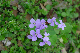 image0147