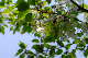 image0148