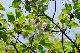 image0149