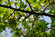 image0150