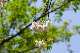 image0152