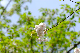 image0153