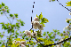 image0154